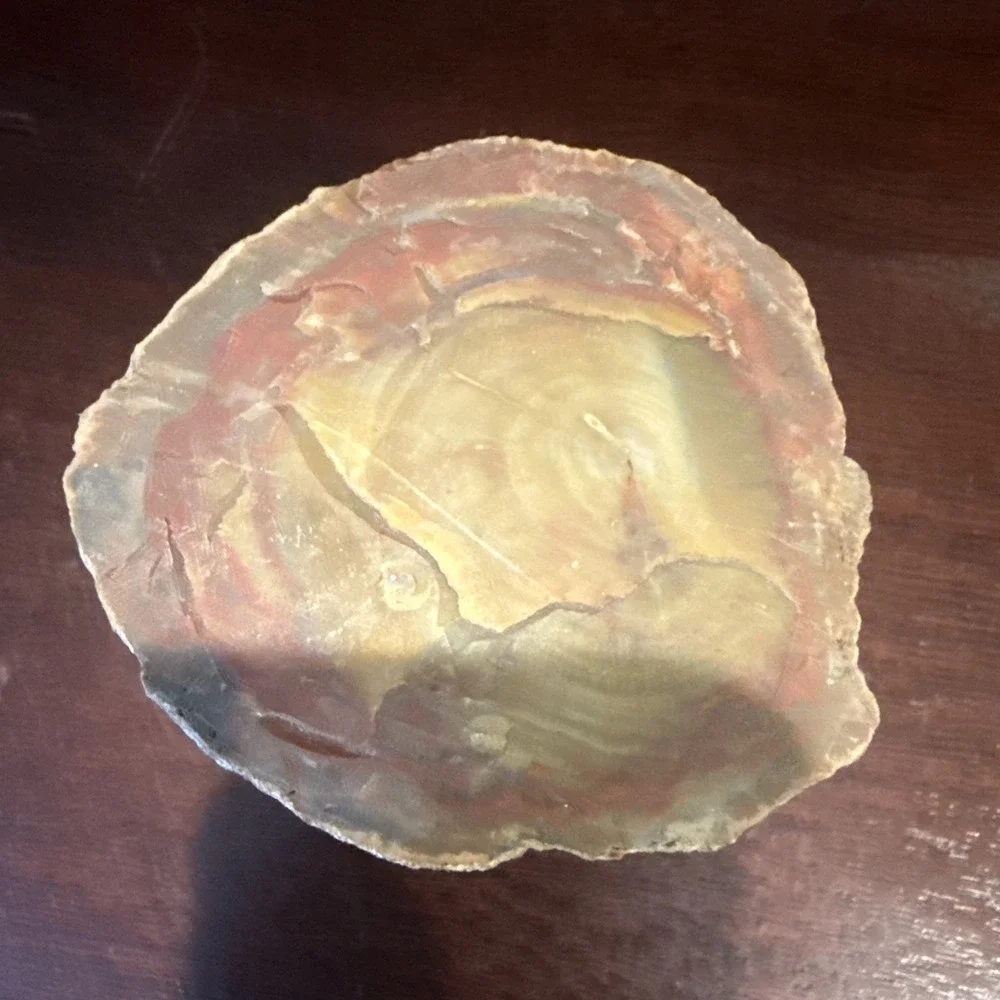 2.1 LB Agatized Petrified Wood Log Fossil Polished Ends Natural Bark Specimen